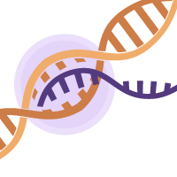 YourSeq Services