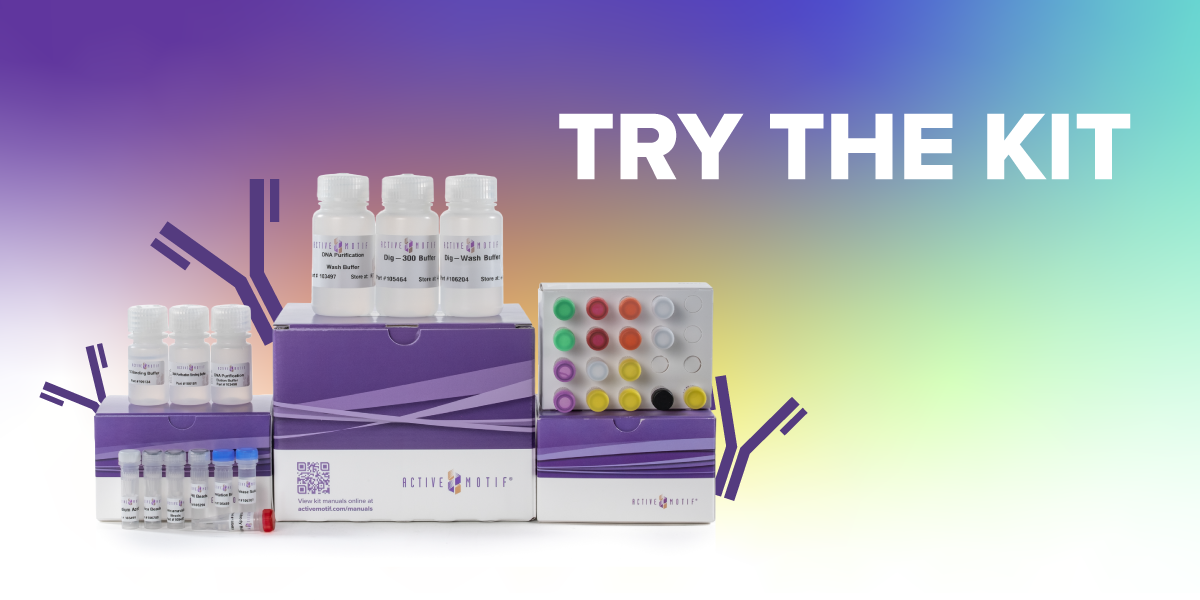 TAGTHREE Promotion