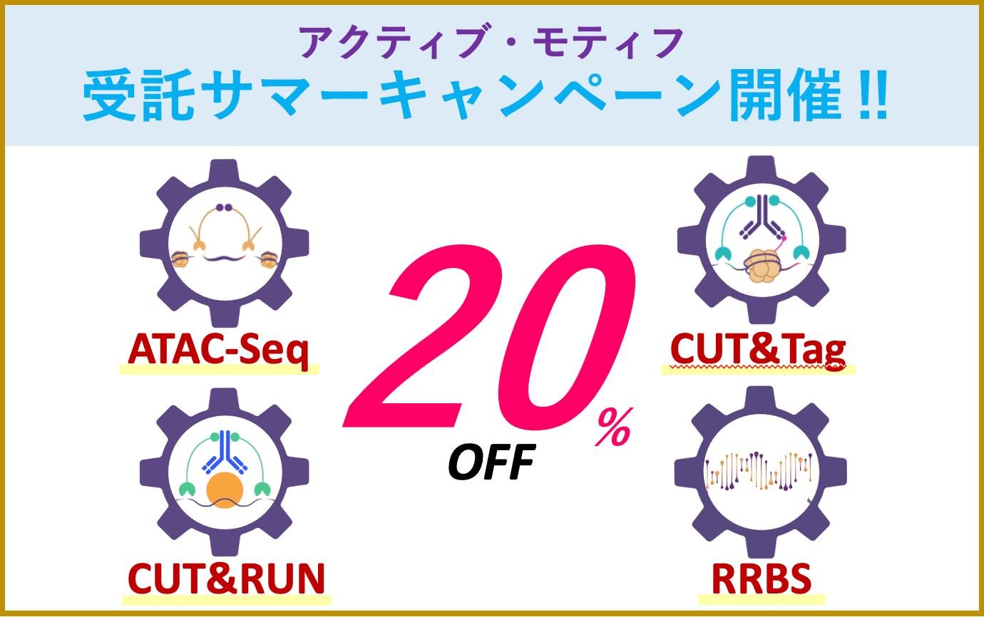 Original Promotion