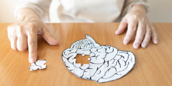 Pieces of the Brain