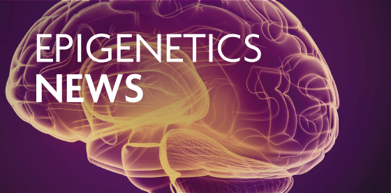 Epigenetics News | Active Motif