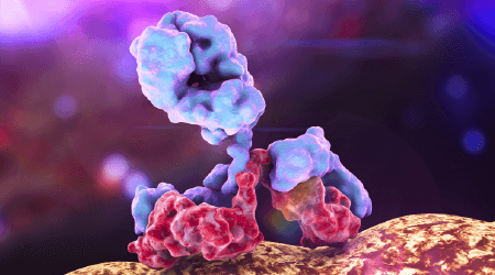 Best ChIP antibody