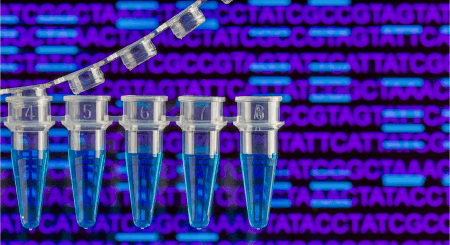 Successful ChIP assay