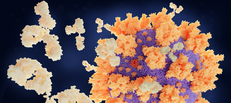 Recombinant Antibodies Paper Summary