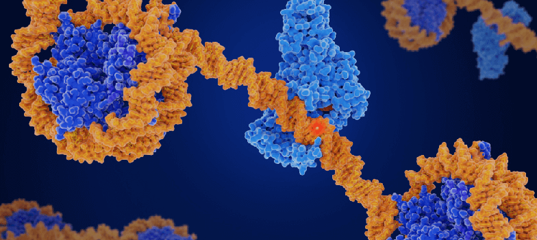 DNA Methylation