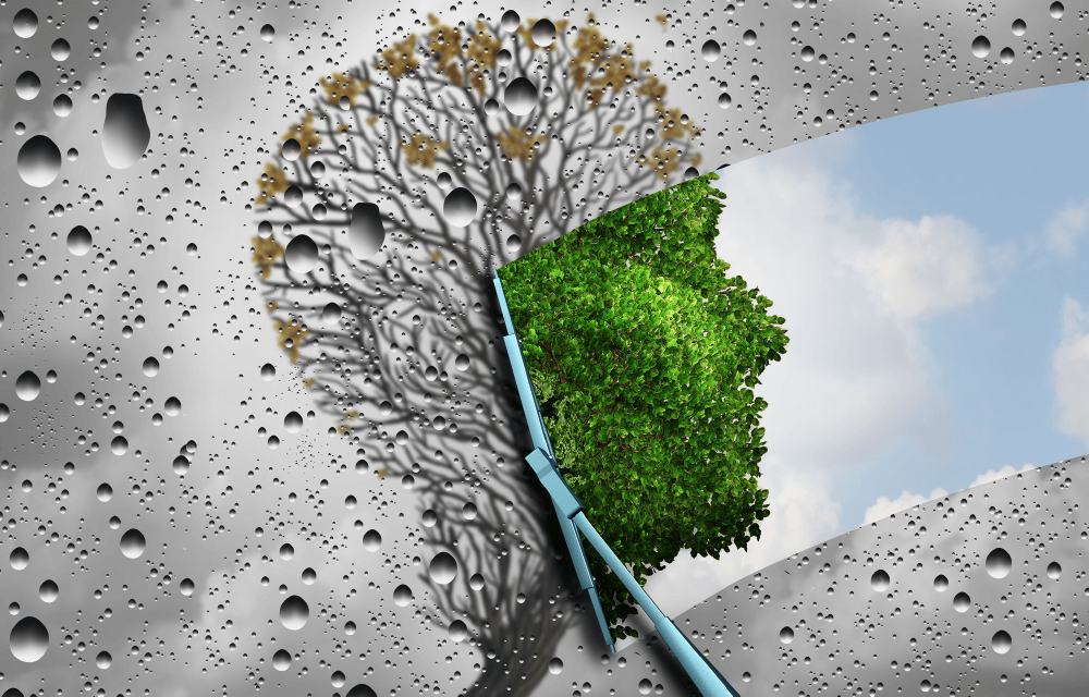 Reverse the aging process