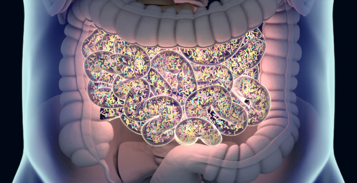 Gut microbiome