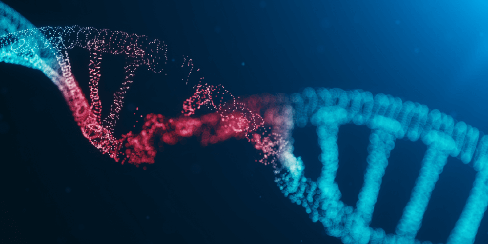 DNA mutation