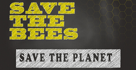 Save the Bees