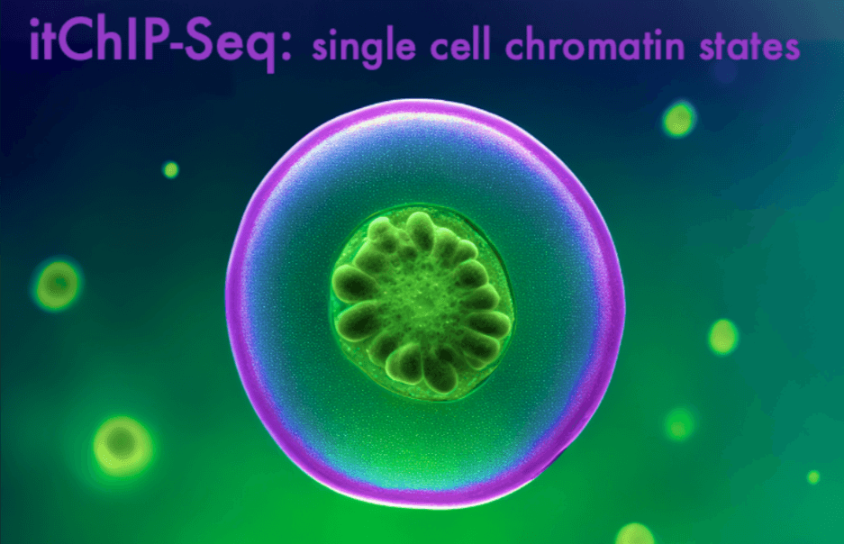 Green cell