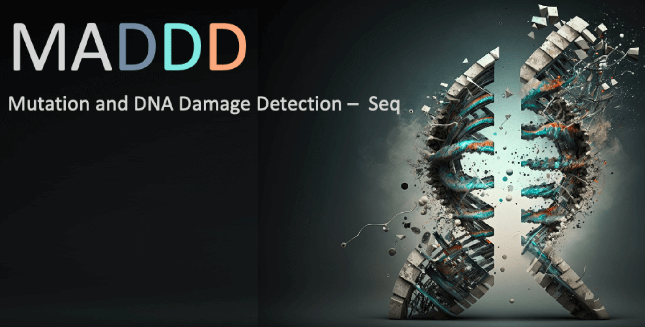 DNA breaking apart