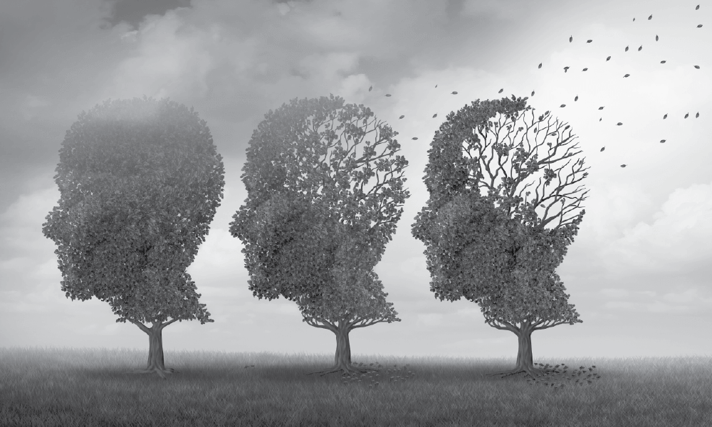 Trees losing leaves
