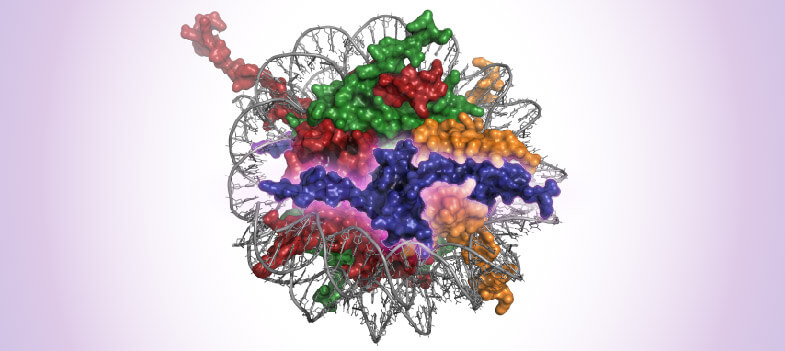 Oncohistones: Histone Mutations & their Oncogenic Effects
