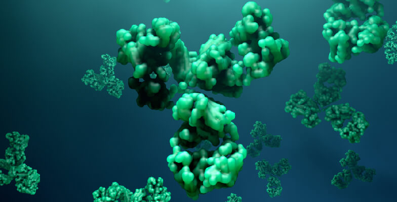 Recombinant Antibodies