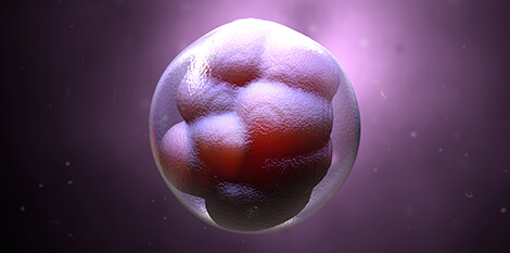 RNA epigenetics & embryo development