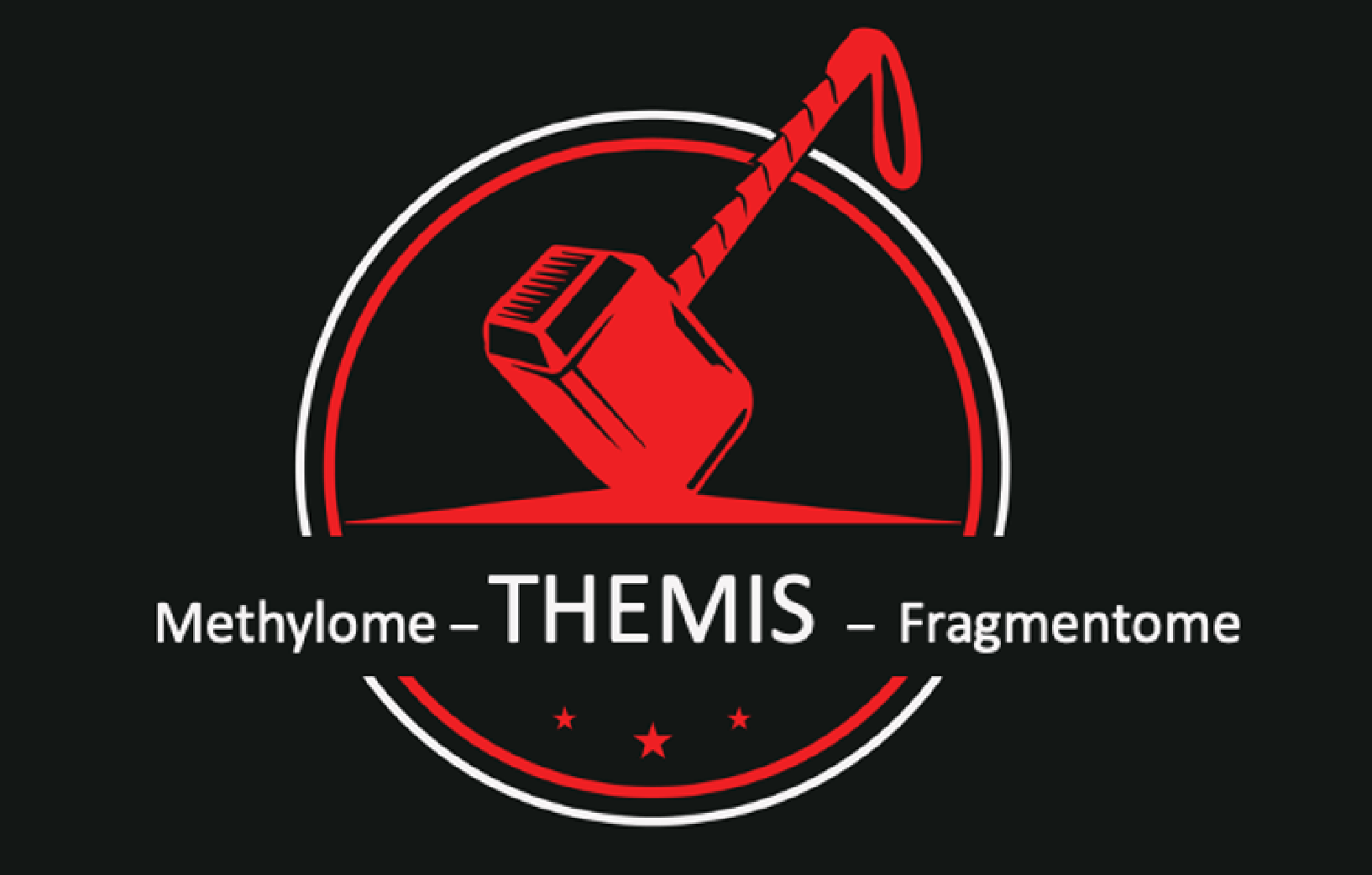THEMIS Hammer