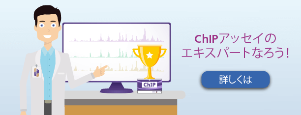 Become a ChIP Assay Expert