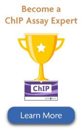 Become a ChIP Assay Expert