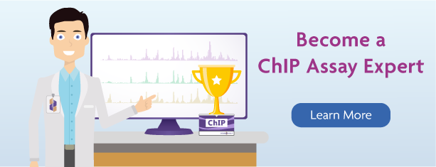 ChIP Assay Expert