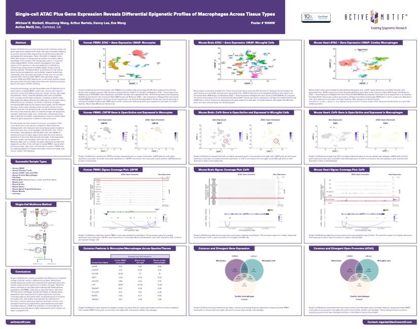 Single-cell ATAC Plus Gene Expression Reveals Differential Epigenetic Profiles of Macrophages Across Tissue Types