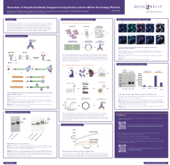 Generation of Targeted Antibody Conjugates Using Sortase and the AbFlex Technology Platform