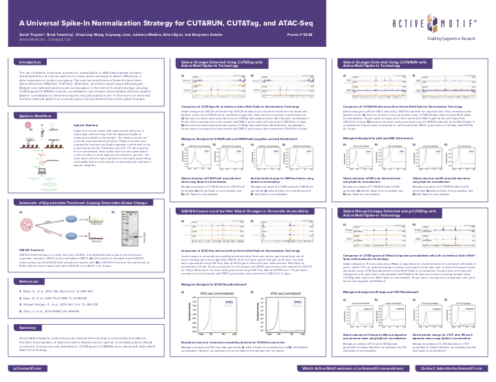 A Universal Spike-In Normalization Strategy for CUT&RUN, CUT&Tag, and ATAC-Seq
