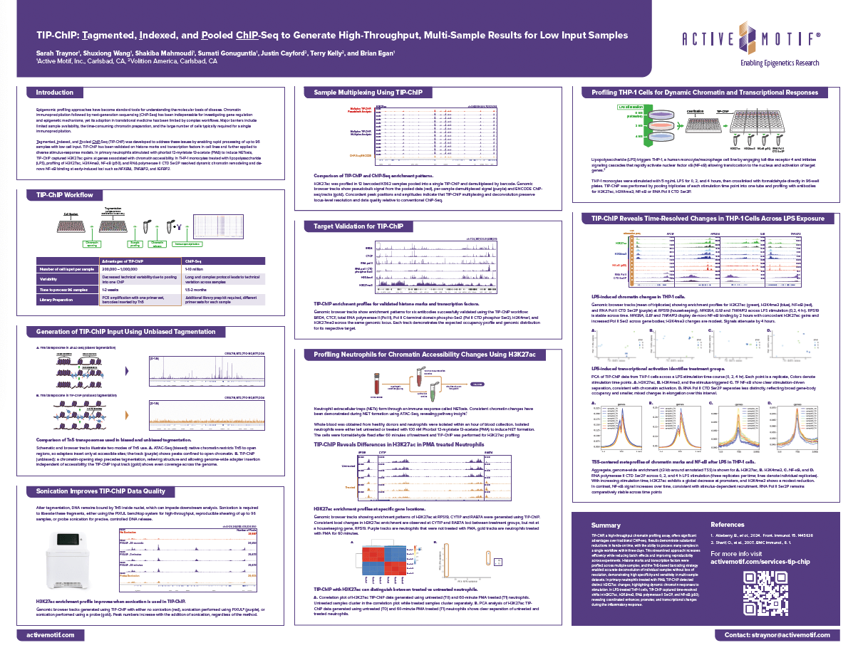 TIP-ChIP: Tagmented, Indexed, and Pooled ChIP-Seq to Generate High-Throughput, Multi-Sample Results for Low Input Samples [ASHG 2025]