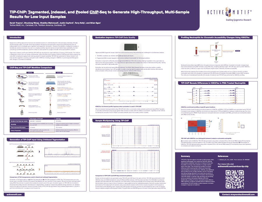 Download the TIP-ChIP Poster