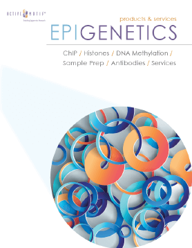 Epigenetic Services