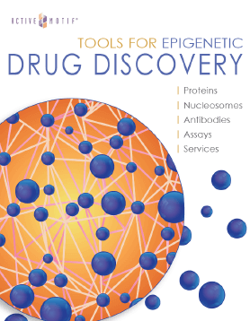 Drug Discovery