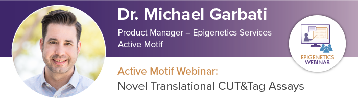 Novel Translational CUT&Tag Assays