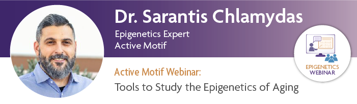 Bringing Epigenetic Analysis into the Clinic