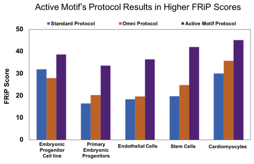 Active Motif’s optimized ATAC-Seq protocol results in increased FRiP scores