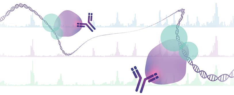 ChIP-Seq Services