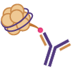 ChIP-Seq Services