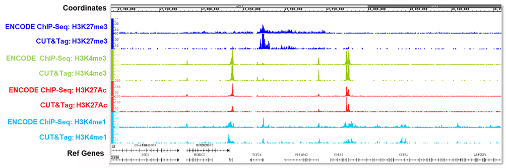 CUT&Tag-IT<sup>&reg;</sup> Assay Kit compared with published data