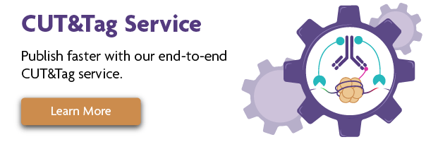 End-to-end CUT&Tag Service
