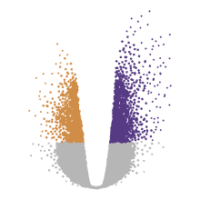 RNA-Seq Services