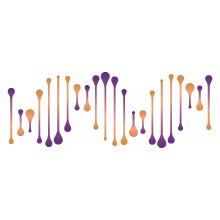Reduced Representation Bisulfite Sequencing (RRBS)