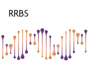 Reduced Representation Bisulfite Sequencing Services