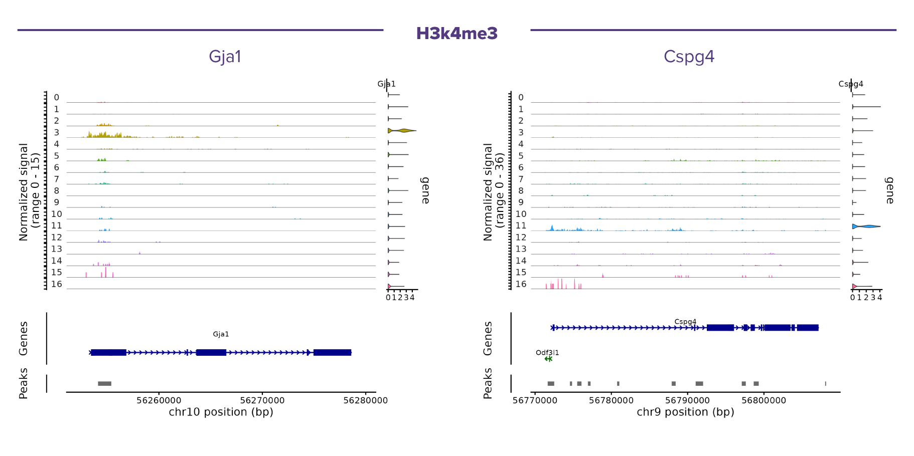 Integrated single-cell CUT&Tag Multiome analysis