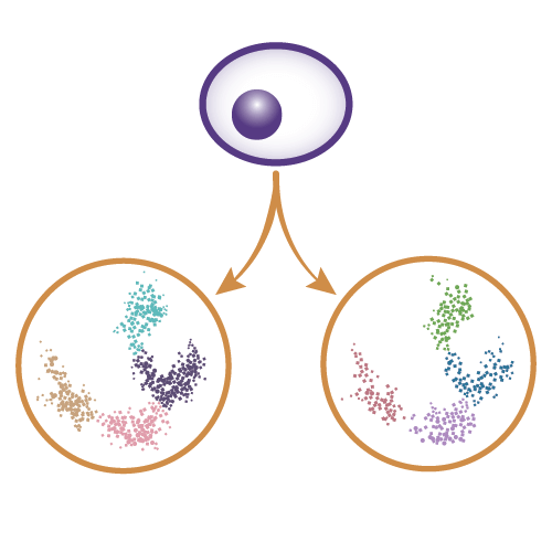 Single-Cell Multiome Service