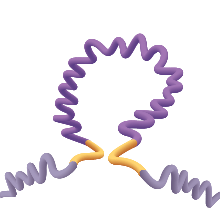 Super-Enhancer Analysis