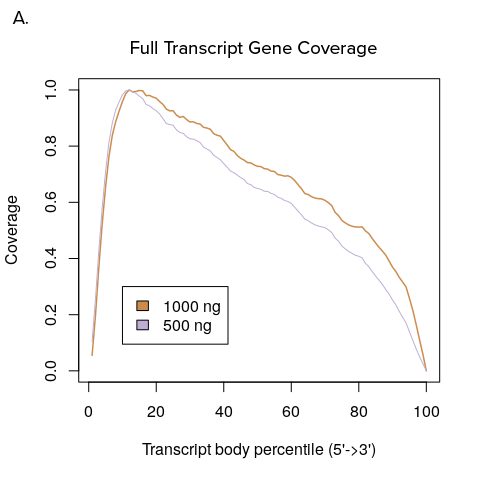 YourSeq Services Full Transcript Gene Coverage