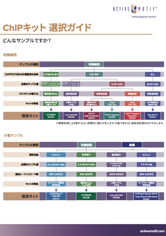 ChIP Kit Selection Guide