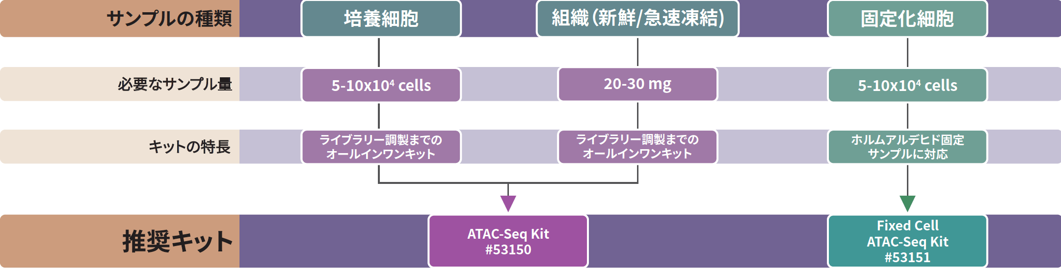 Profile Open Chromatin Regions Decision Tree