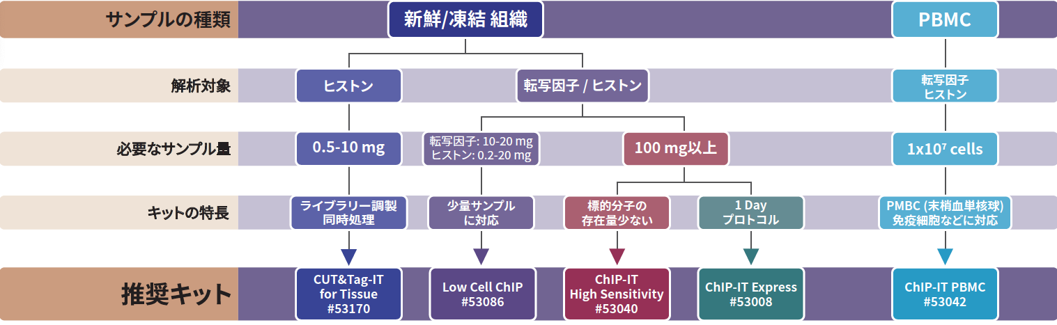 ChIP Kits Guide 2