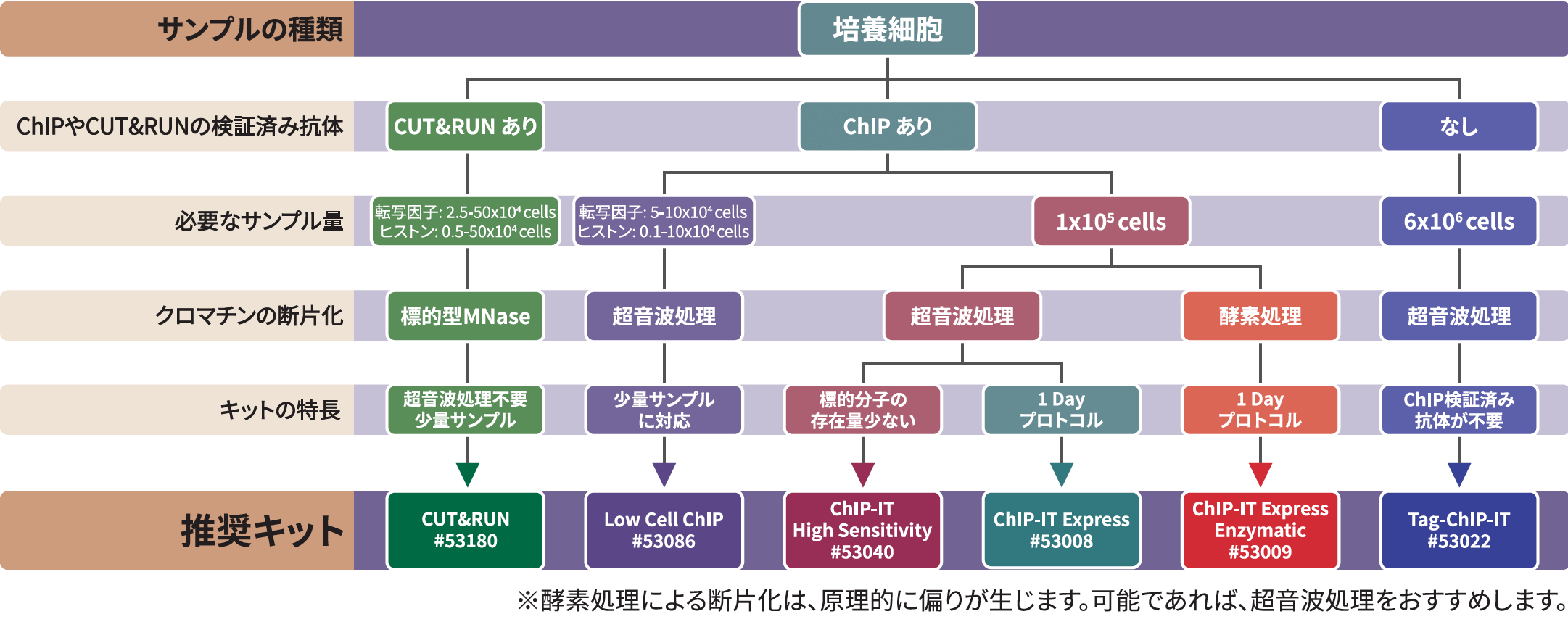 ChIP Kits Guide 1
