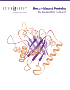 Rec_prots_140604_cover_web_70x200