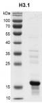 Recombinant Histone H3.1 Coomassie gel